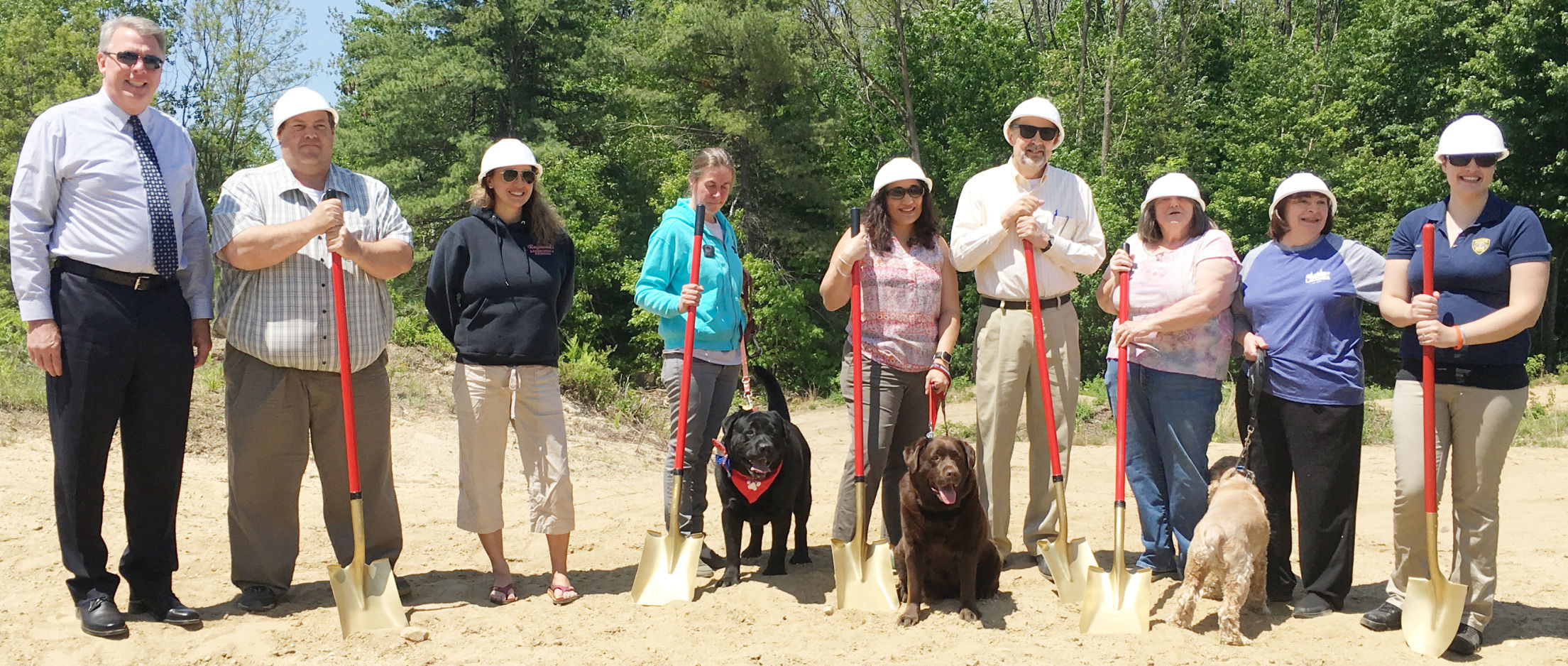 Dog Park